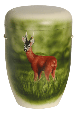 Waldtiere - Rehbock - Natururne
