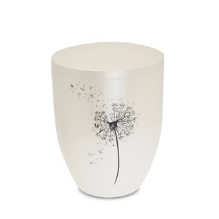 Pyrit Pusteblume