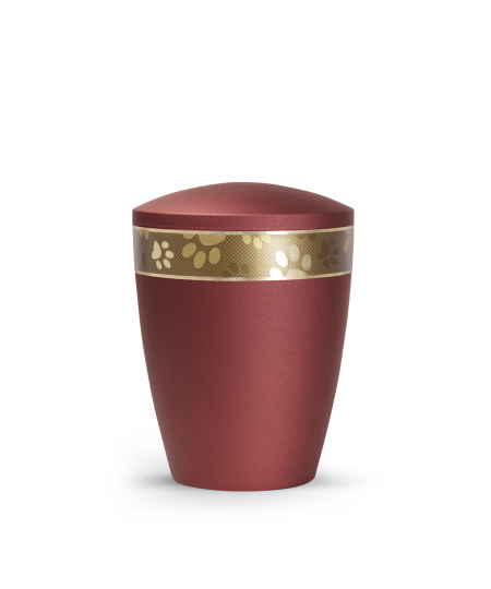 Edition Patas de oro, velvet rubin, umlaufendes, goldenes Pfotenmotiv