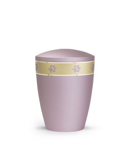 Edition Patas de oro, velvet rosé, umlaufendes, goldenes Pfotenmotiv