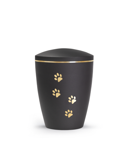 Edition Patas de oro, velvet schwarz, Pfotenmotiv, gold gebürstet