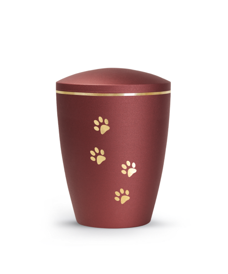Edition Patas de oro, velvet rubin, Pfotenmotiv, gold gebürstet