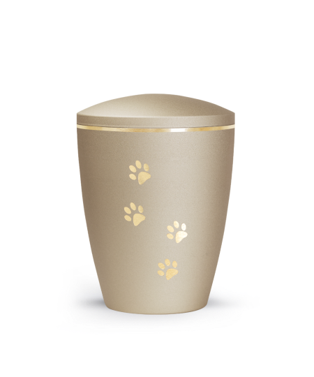 Edition Patas de oro, velvet champagner, Pfotenmotiv, gold gebürstet