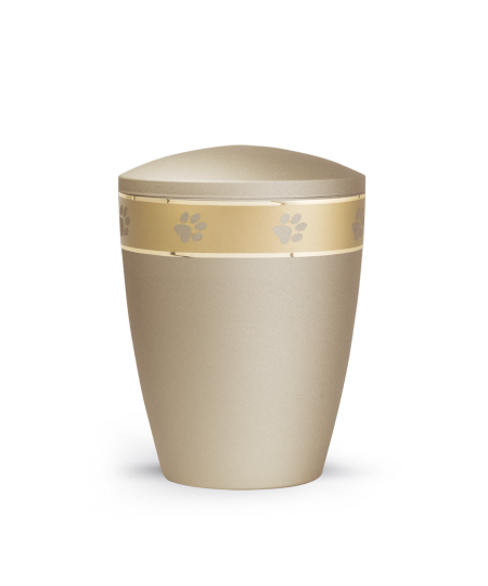 Edition Patas de oro, velvet champagner, umlaufendes, goldenes Pfotenmotiv