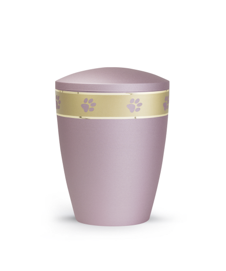 Edition Patas de oro, velvet rosé, umlaufendes, goldenes Pfotenmotiv