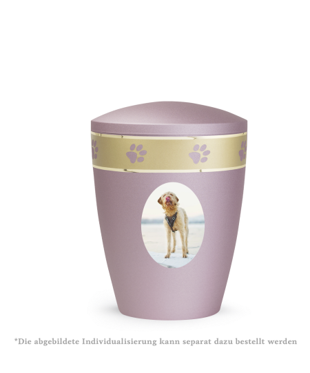 Edition Patas de oro, velvet rosé, umlaufendes, goldenes Pfotenmotiv