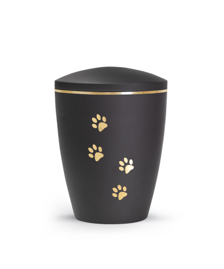 Edition Patas de oro, velvet schwarz, Pfotenmotiv, gold gebürstet