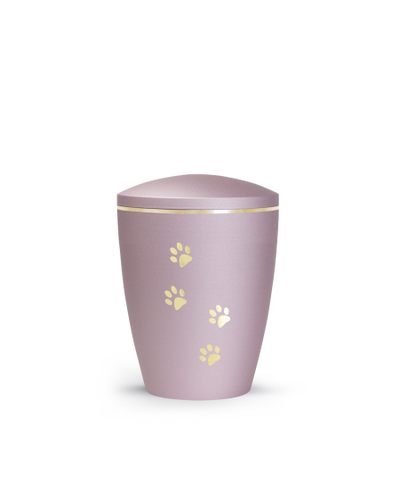 Edition Patas de oro. velvet rosé, Pfotenmotiv, gold gebürstet
