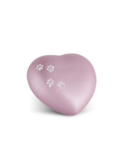 Edition Herz, velvet rosé, Sparkling Star Pfötchen silber