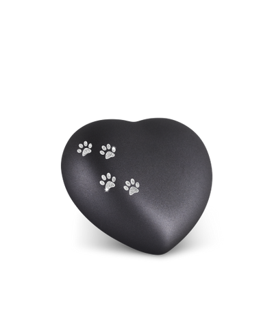 Edition Herz, velvet schwarz, Sparkling Star Pfötchen silber