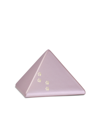 Edition Pyramide, velvet rosé, vier Pfötchen gold glänzend