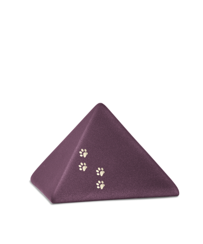 Edition Pyramide, velvet berry, vier Pfötchen gold glänzend
