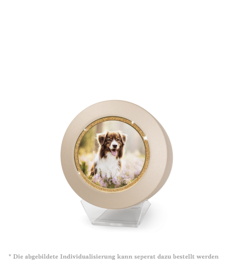 Edition Glamour, velvet champagner, Sparkling Glamour Band gold