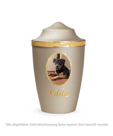 Edition Glamour, velvet champagner, Sparkling Glamour Band gold