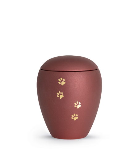 Edition Verona, velvet rubin, vier PFoten gold gebürstet