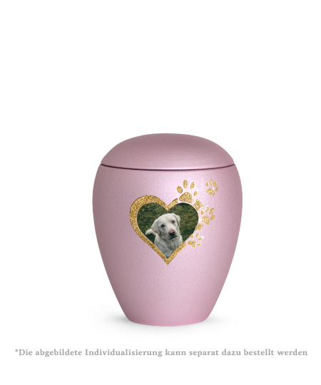 Edition Verona, velvet rosé, Sparkling Star Herz mit Pfoten in gold