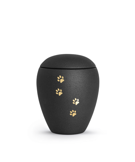 Edition Verona, velvet schwarz, vier Pfoten gold gebürstet