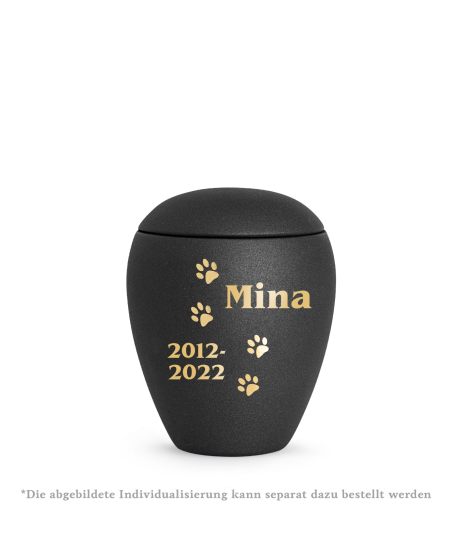 Edition Verona, velvet schwarz, vier Pfoten gold gebürstet