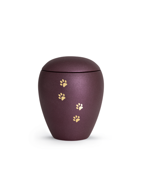 Edition Verona, velvet berry, vier Pfoten gold gebürstet