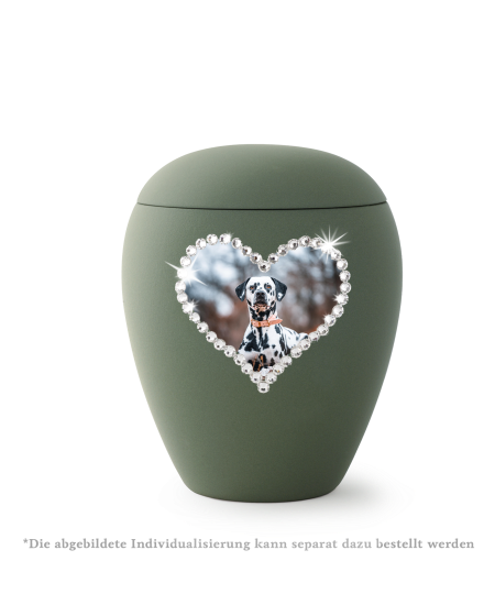 Edition Siena, Samtton oliv