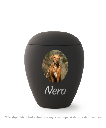 Edition Siena, Samtton graphit