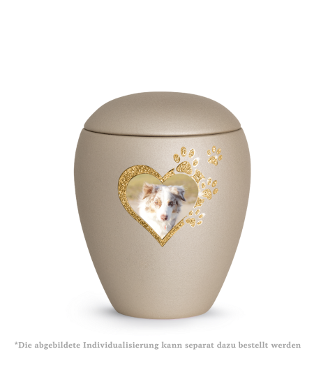 Edition Verona, velvet champagner, Sparkling Star Herz mit Pfoten in gold