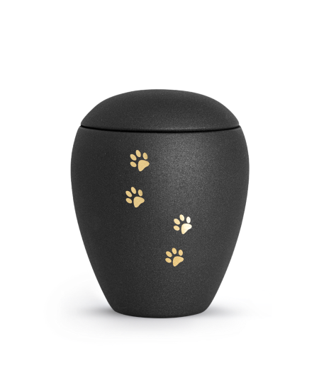 Edition Verona, velvet schwarz, vier Pfoten gold gebürstet