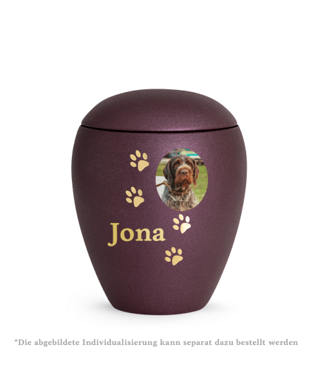 Edition Verona, velvet berry, vier Pfoten gold gebürstet