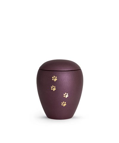 Edition Verona, velvet berry, vier Pfoten gold gebürstet