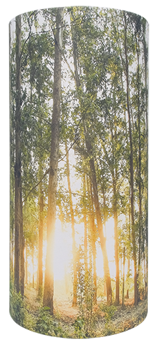 Carton Forest