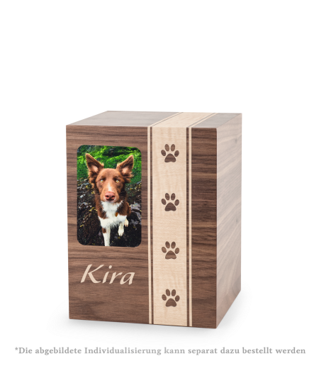 Edition Lamina, Amerikanischer Nussbaum Echtholzfurnier, Pfotenband