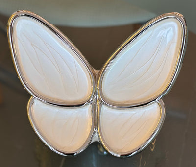 Schmetterling