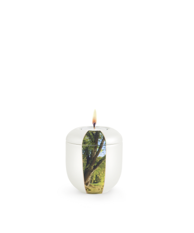 Edition Natura, Perlmutt, Gedenklicht