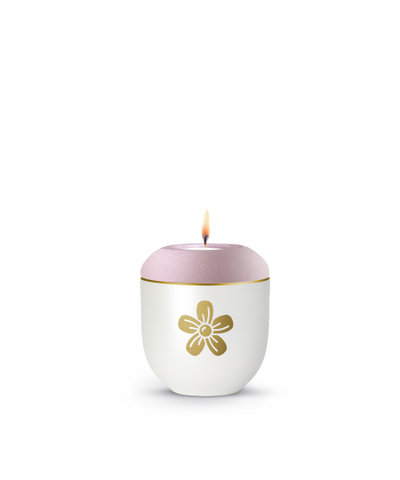 Edition Golden Heart, Blüte, Velvet Rosé, Gedenklicht