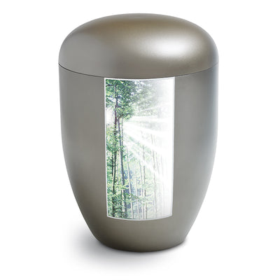Wald