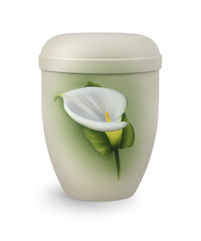Calla