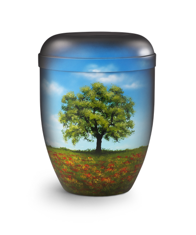 Edition Airbrush