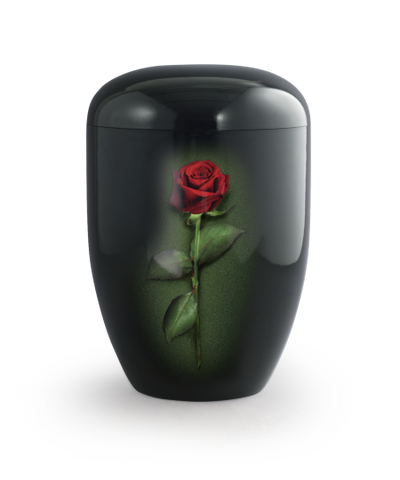 Rose, Klavierlack