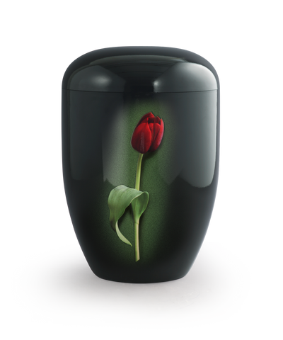 Tulpe, Klavierlack