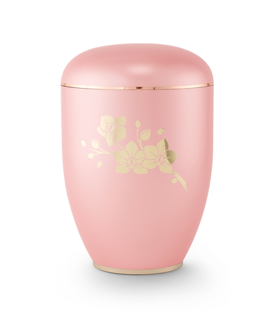 Orchidee perlmutt rosé