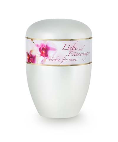 Orchidee Liebe perlmutt