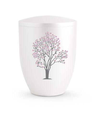 Kirschblüten, perlmutt,
