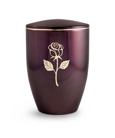 Aubergine lasiert Stielrose
