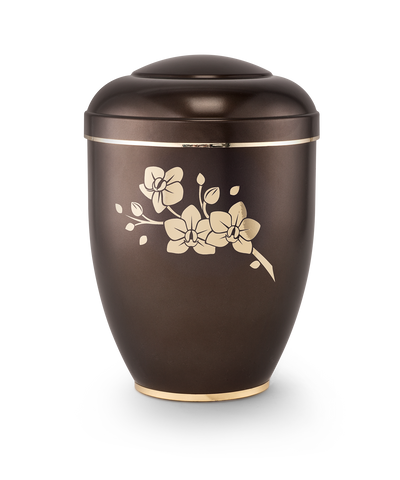 Orchidee perlmutt chocolat