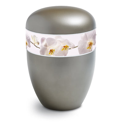 Orchidee