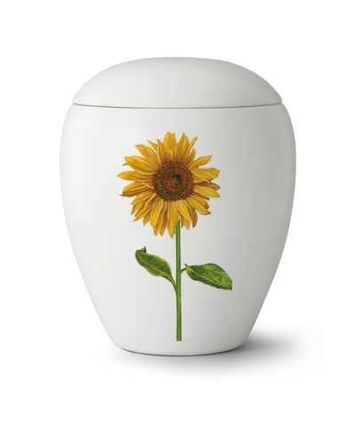 Weiß, Blume, Keramik