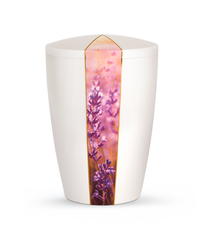 Lavendel