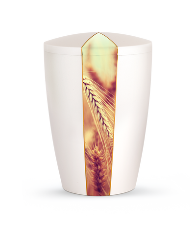 Kornfeld Perlmutt Oberfl.