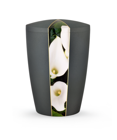 Calla