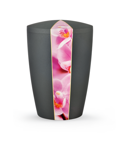 Orchidee